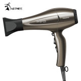 Professional Hair Dryer with CE and GS Certifikate