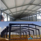 Steel Structural Steel Building for Factory