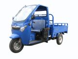 Fashionable 175CC Tricycle (DF175ZH-C)