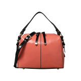 Fashion Designer Handbag Ladies Shoulder Leather Handbag (EF108531)