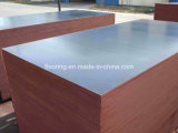 Export Standard Lumber for Construction (1220*2440*12mm)