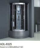 Modern Style Computerized Shower Room (ADL-8325)
