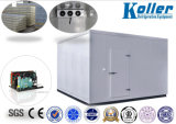 Koller Cold Room Oversea Installation Service Available