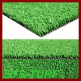 Cheap Artificial Grass for Roof Top