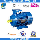 Y2 Cast Iron Three Phase Electrical Motor (Y2-632-2)