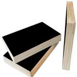 Cypress Wood/Eucalyptus Wood Film Faced Plywood