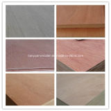 Bintangor/Okoume/Teak/Birch Faced Commercial Plywood for Furniture