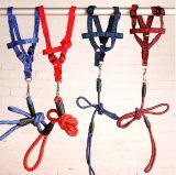 Nylon Dog Leash with Different Size