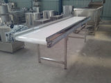 Fat and Oil Resistant Belt Conveyor