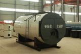 Gas/Oil Fired Steam Boiler (WNS 20-1.6-YQ)