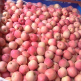 Professional Supplier for Fresh Chinese Red FUJI Apple