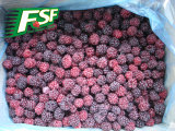 Grade a IQF Blackberries in Stock