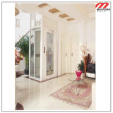Safety Home Elevator with Panoramic Lift