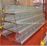a Type 3 Tiers Layer Broiler Chicken Cage Poultry Farm
