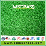 10mm PP Artificial Grass Carpet for Golf Sport (MSQD-C10C27PG)