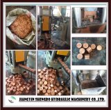 Hydraulic Scrap Metal Chip Briquetter Copper Briquetting Press (CE SGS)