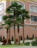 Artificial Plants and Flowers Mixed Group of Fan Palm Tree