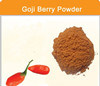 Pure Freeze Dried Goji Powder Goji Berry Powder
