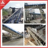 1000mm Long Distance Sloping Conveying Machinery with High Tensile Strength