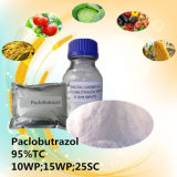 Good Quality Plant Growth Regulator Product for Paclobutrazol