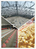 Poultry Farm Ventilation Equipment for Sale