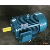 Y2 Three-Phase Electric Motor with Certificates