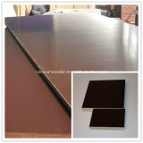 15mm Black Film Faced Plywood for Construction
