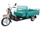 High Load Capacity & Quiet Operate Electric Pedicab