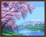 Wholesales Factory New Design Painting by Numbers on Canvas Flower Design En71-123, CE