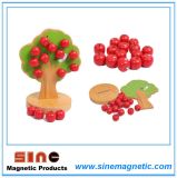 Magntic Wooden Apple Tree Toy