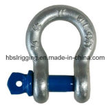 U. S. Type Bow Shackle with Screw Pin