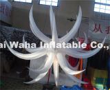 The 21st-- Star Lights / Colorful Lamp Star /Lighting Decoration Inflatable / LED Star / LED