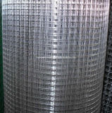 Factory Supply Reinforce Welded Wire Mesh