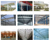 Prefabricated Industrial Steel Structure for Workshop/Warehouse/Shed