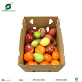 Customized Fresh Fruit Corrugated Box (FP11033)