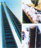 Side Wall Conveyor Belt