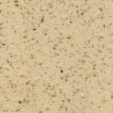 Quartz Stone for Floor/Wall/Work-Top (QG261)