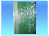 Lacquer or PVC Coated Steel Mesh Window Screening