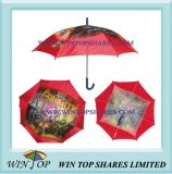 Special 2 Layers Children Umbrella (WT8052)