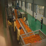 High Quality Juice Processing Machinery