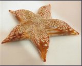 Blowing Artificial Glass Starfish Decoration