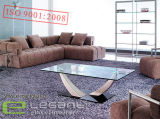 Modern Living Room Glass Coffee Table with Two Metal Legs