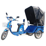 500W-700W CE Brushless Motor Tricycle with Pedal (TC-007)