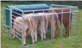 Sheet Metal Fabrication of Livestock Feeder Galvanized Portable Product