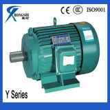 Y Low Speed Electric AC Motor