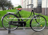 Lady Popular Traditional Bicycle for Sale (SH-TR111)