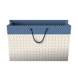 Printed Paper Party Gift Carrier Bag