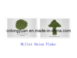 Dehydrated Millet Onion Flake
