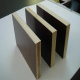 Phenolic Film Faced Plywood/ Formwork Plywood