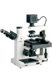 Inverted Biological Microscope (XDS-2)